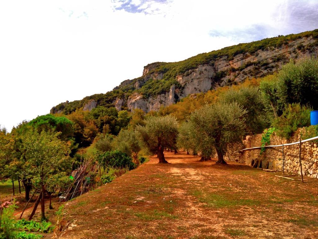 Villa Agriturismo Ca' Magli à Orco Feglino Extérieur photo